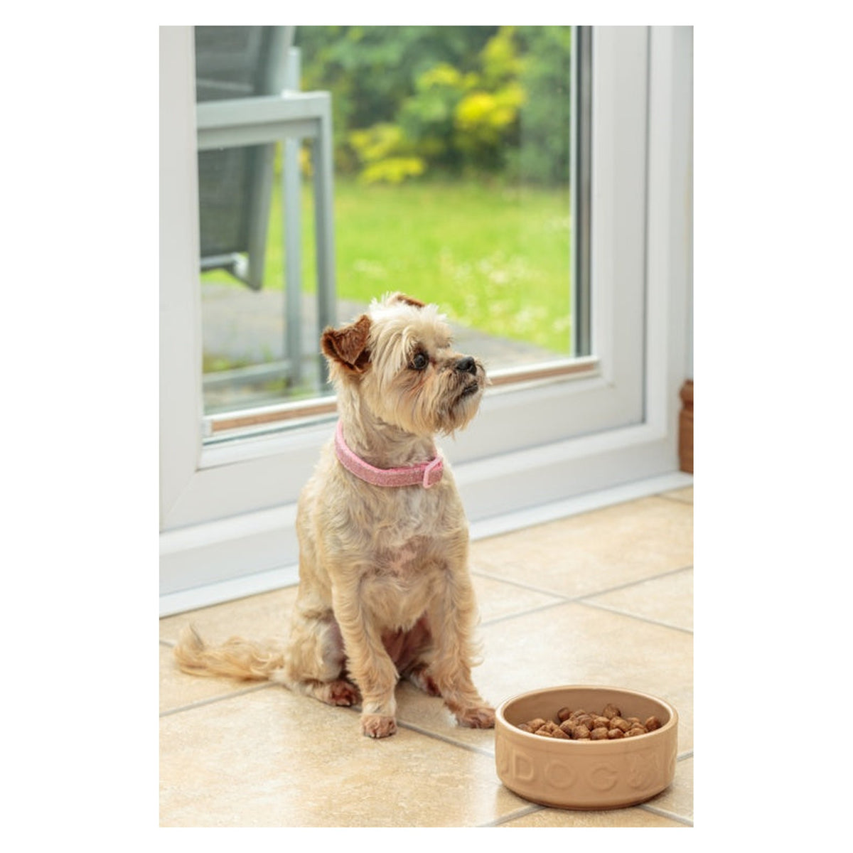 Mason Cash lettered cane stoneware dog bowl 200mm, view 2