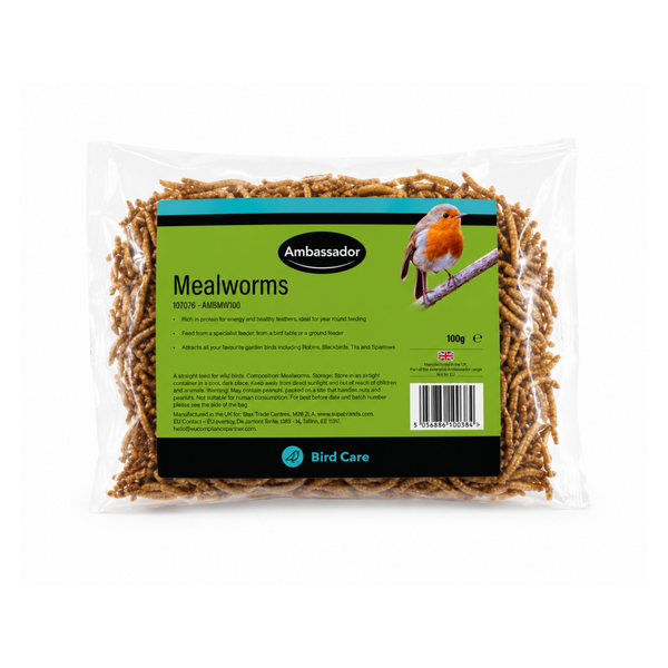 Mealworms - 100g
