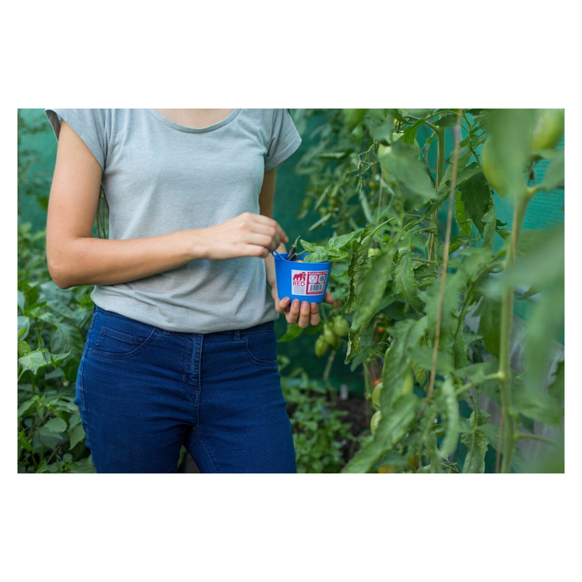 Micro Tub 300ml - Blue, view 2