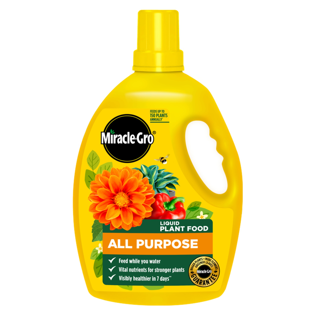 Miracle-Gro All Purpose Concentrate 2.5L plant feed