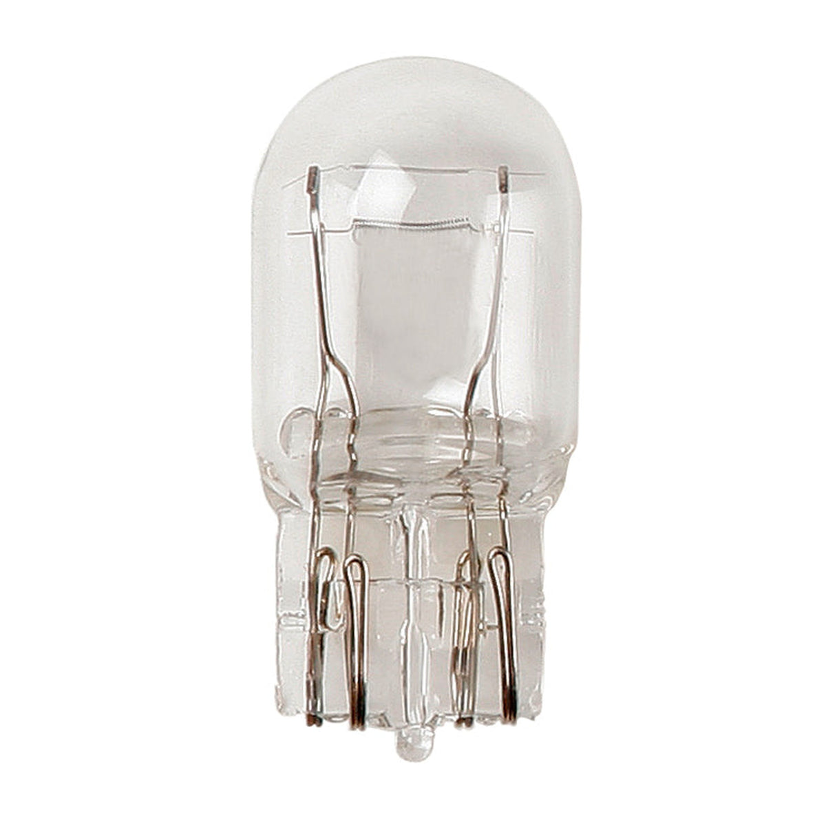 Ring capless 12V 5W brake and tail light bulb