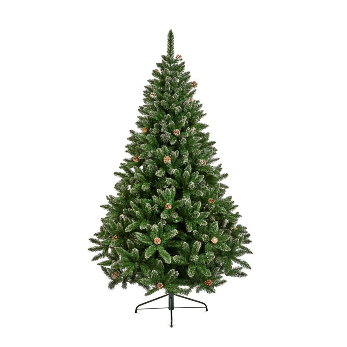 Rocky Mountain Pine Tree - 1.5m