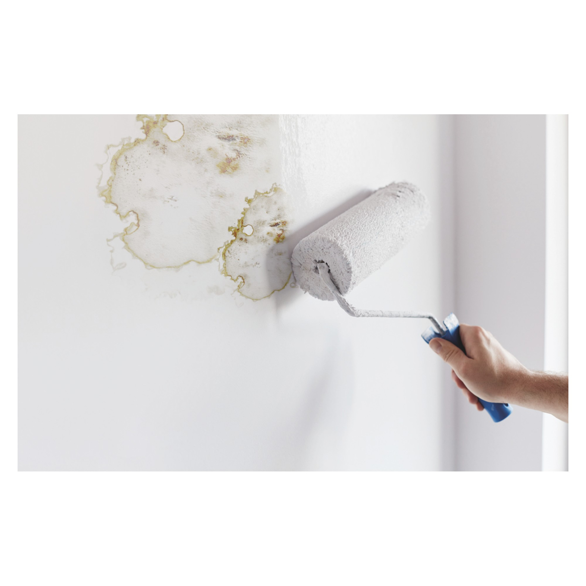 Ronseal 6 Year Anti Mould Paint 2.5L tin white matt, view 3