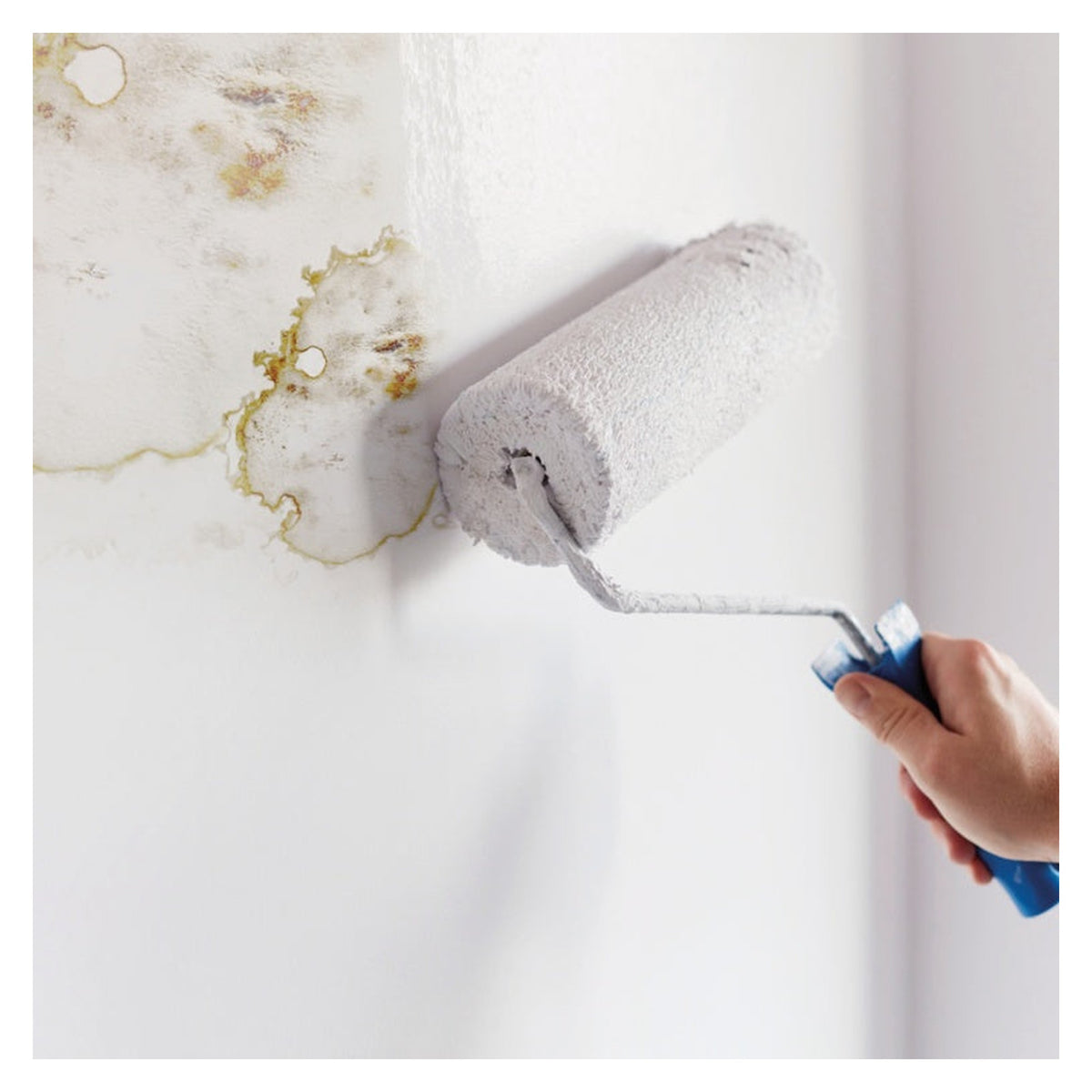 Ronseal 6 Year Anti Mould Paint white matt 750ml, view 2