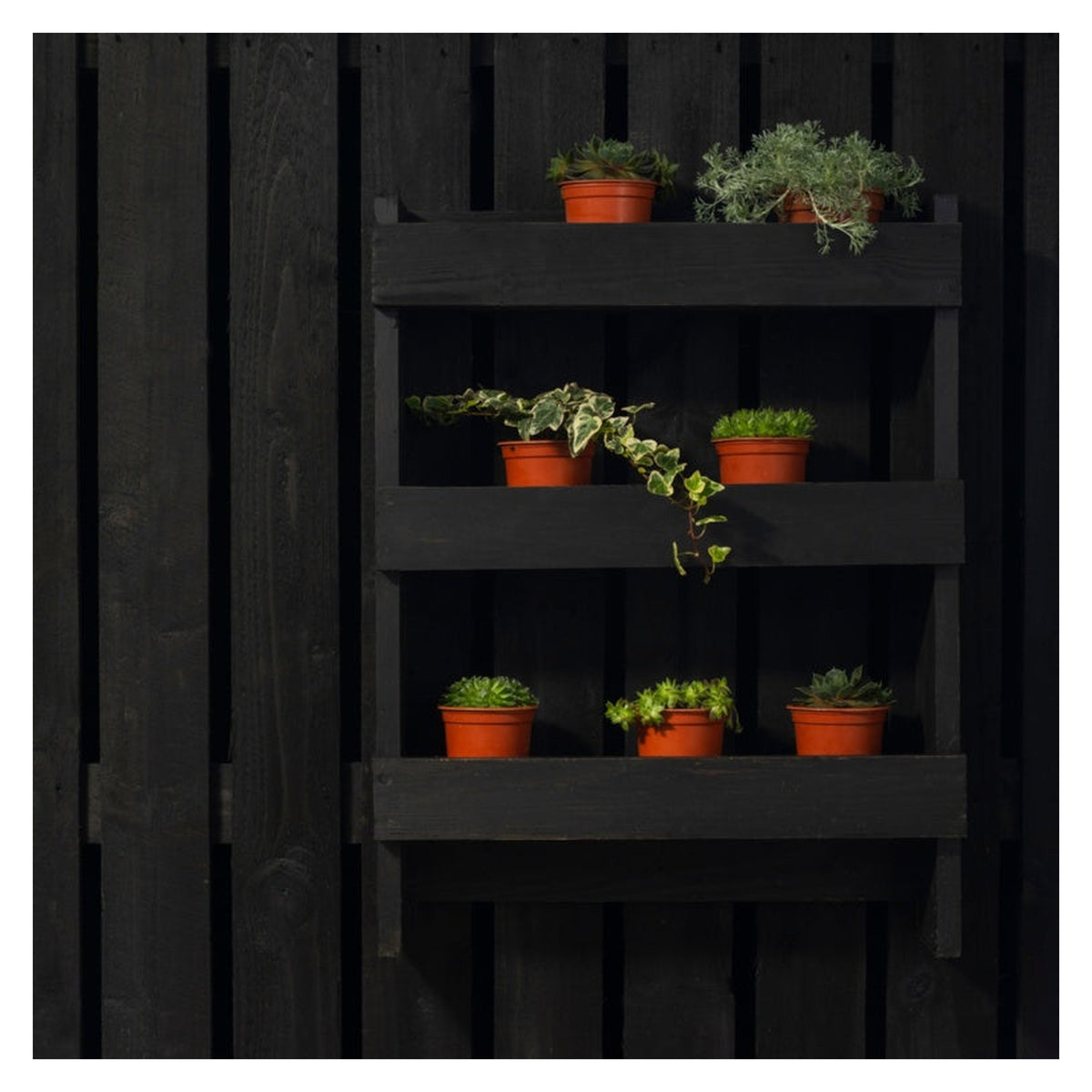 Ronseal Fence Life Plus 5L tin in Tudor Black Oak, view 4
