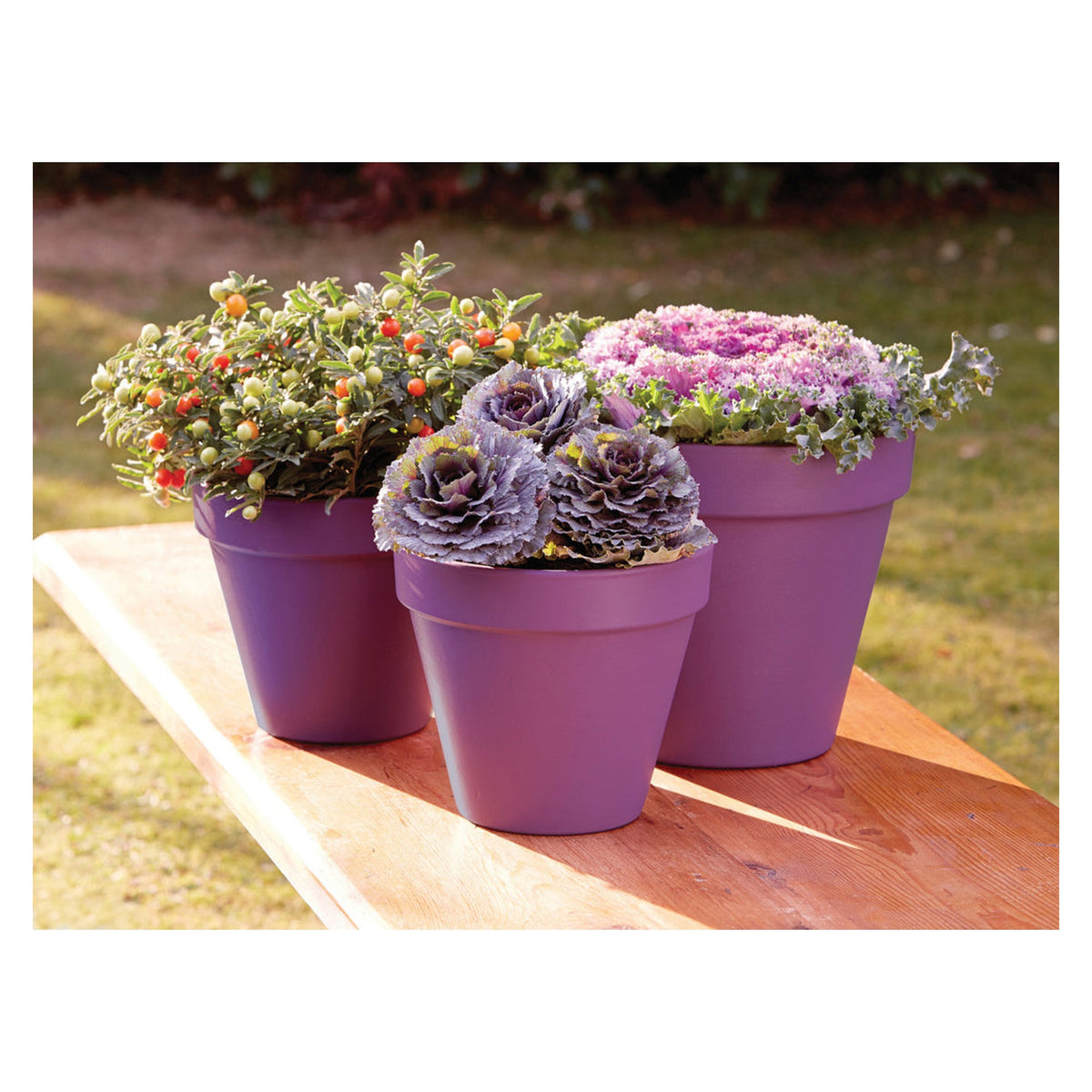 Ronseal Garden Paint 250ml tin in Purple Berry, view 2