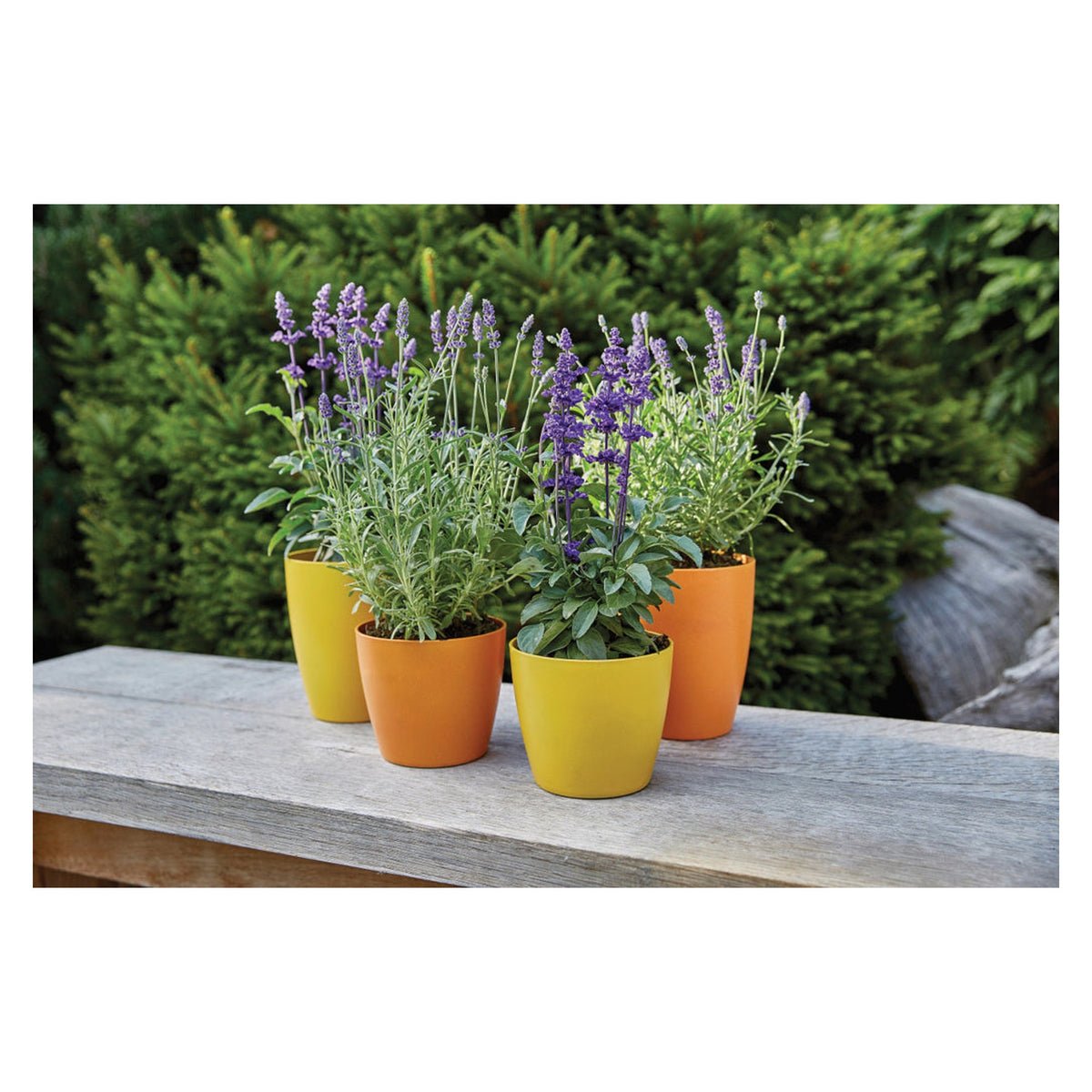 Ronseal Garden Paint 250ml tin in Sundial, view 2