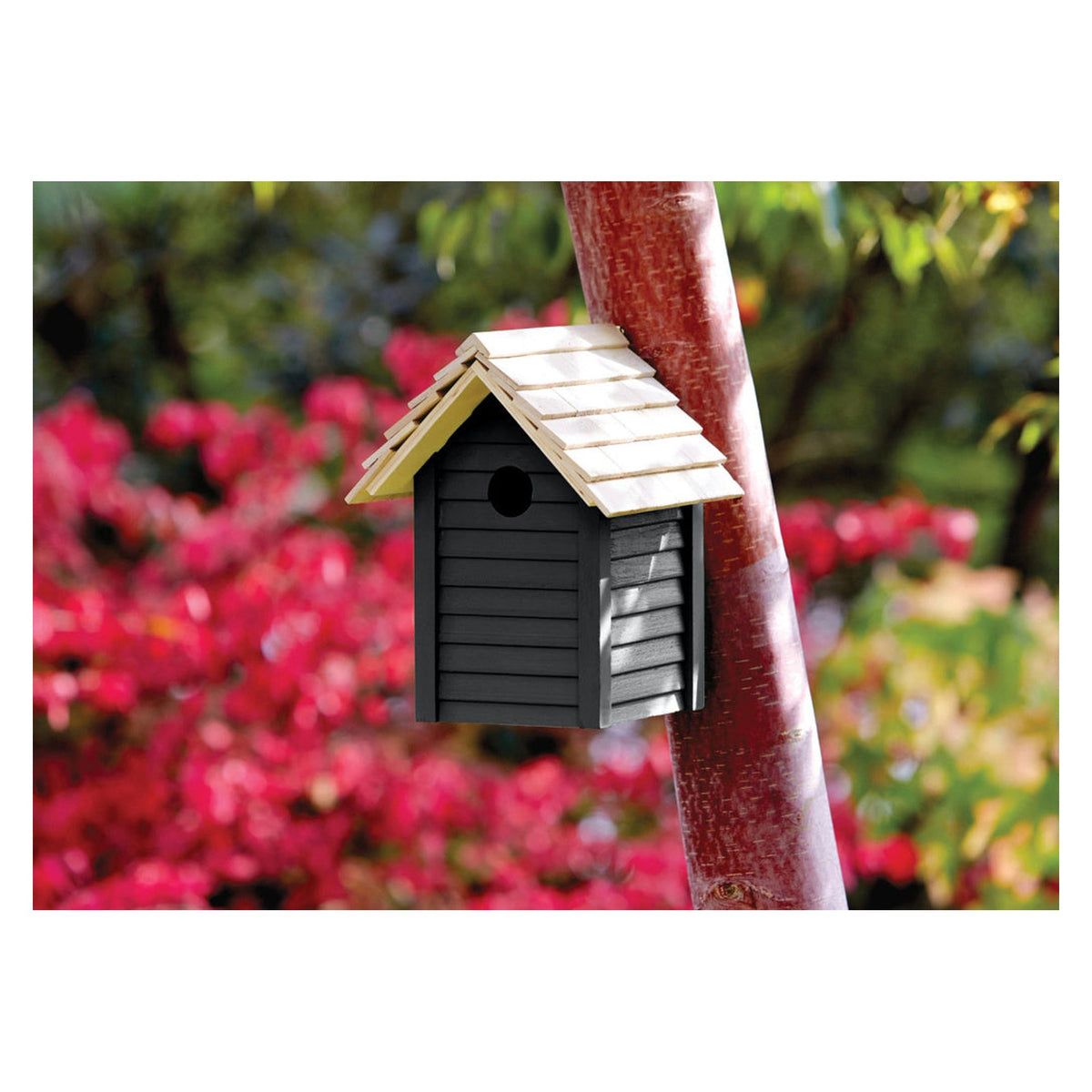 Ronseal Garden Paint 750ml tin in Blackbird, view 2