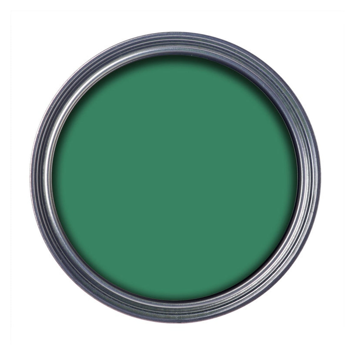 Ronseal Garden Paint 750ml tin in Rainforest Green, view 2
