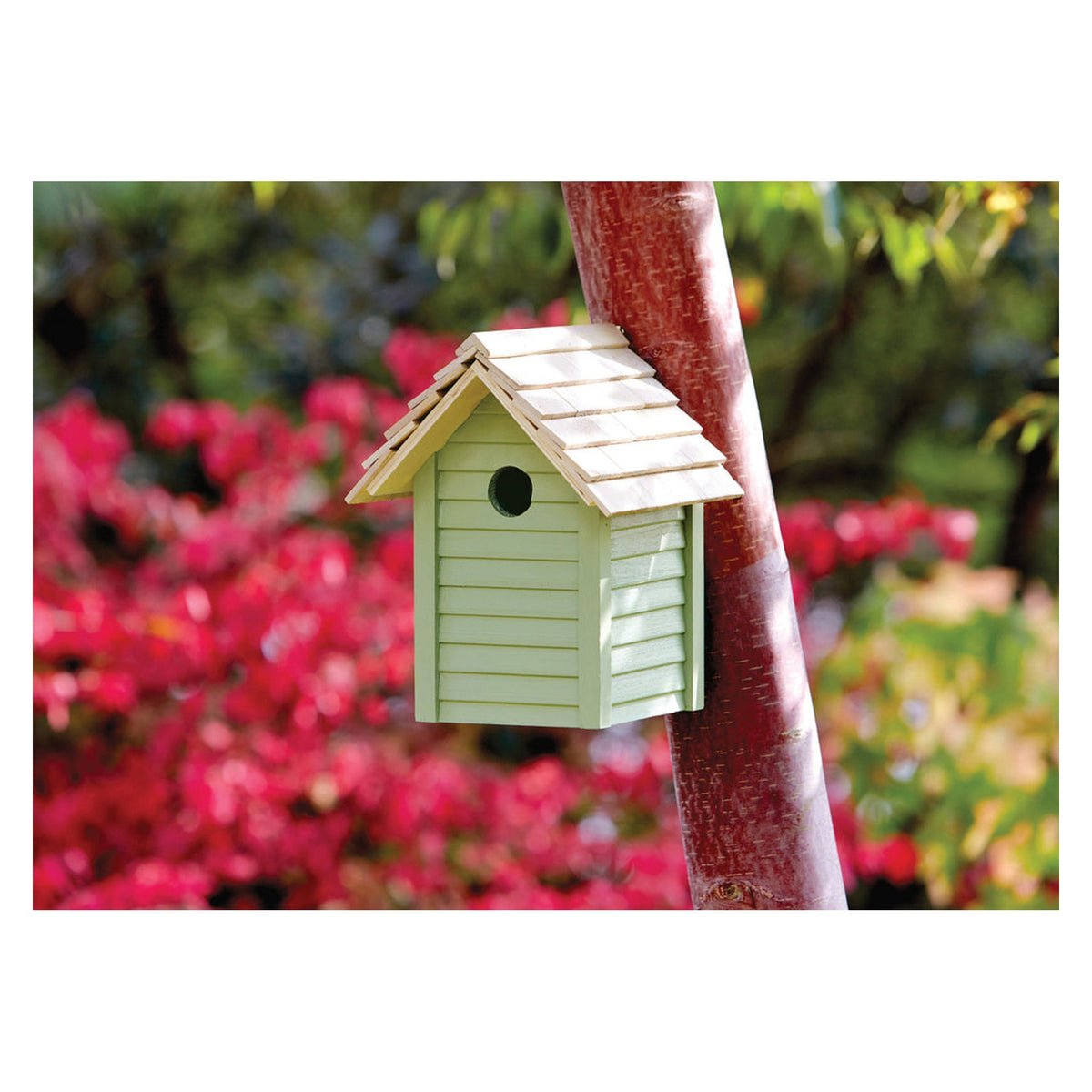 Ronseal Garden Paint 750ml tin in Sapling Green, view 2