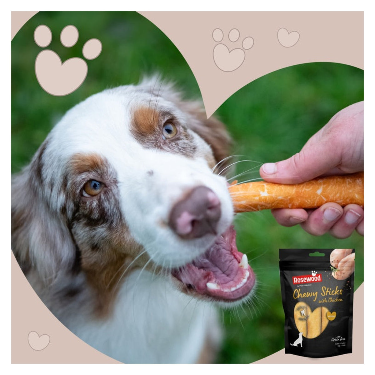 Rosewood chewy sticks with chicken 4 piece medium, view 4