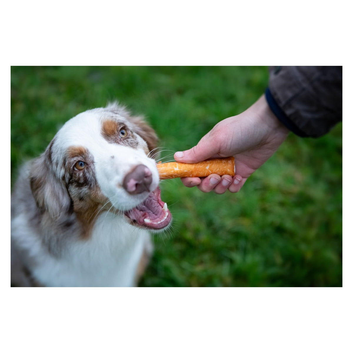 Rosewood chewy sticks with chicken 4 piece medium, view 7