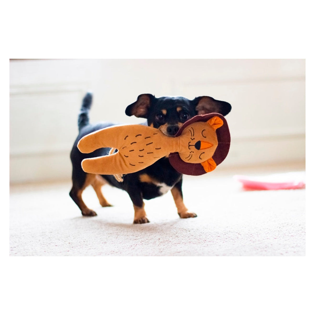 Rosewood Eco lion squeaky dog toy, view 3