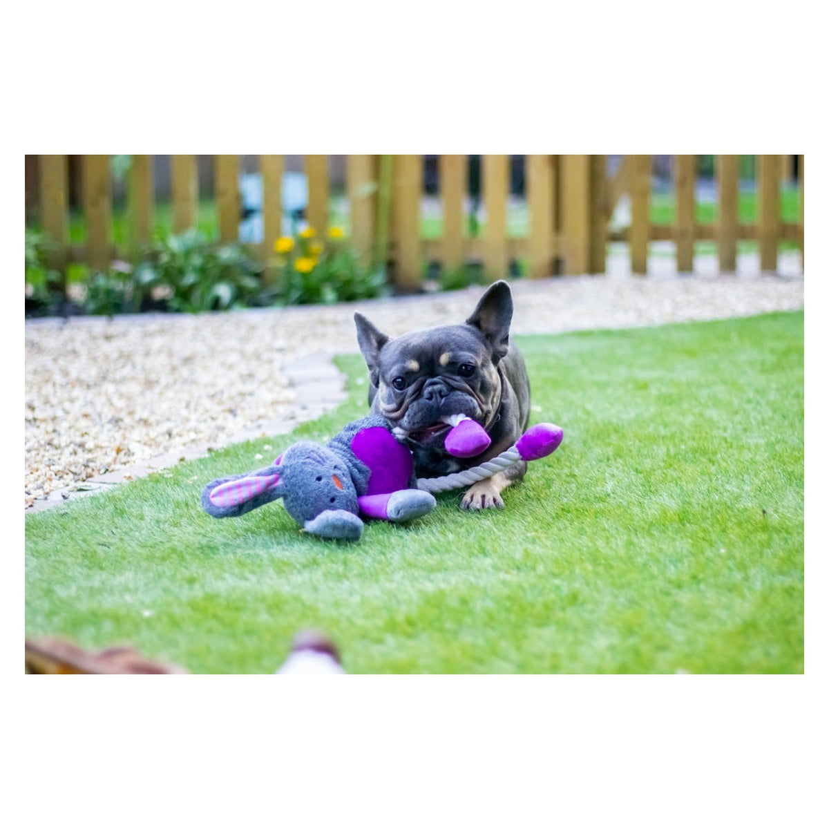 Rosewood Mister Twister Ruby Rabbit rope dog toy, view 5