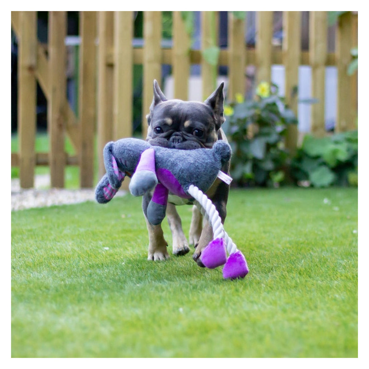 Rosewood Mister Twister Ruby Rabbit rope dog toy, view 6
