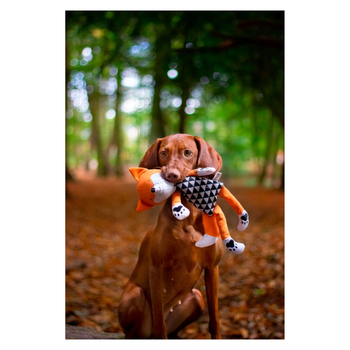Rosewood Mr Fox dog toy, view 11