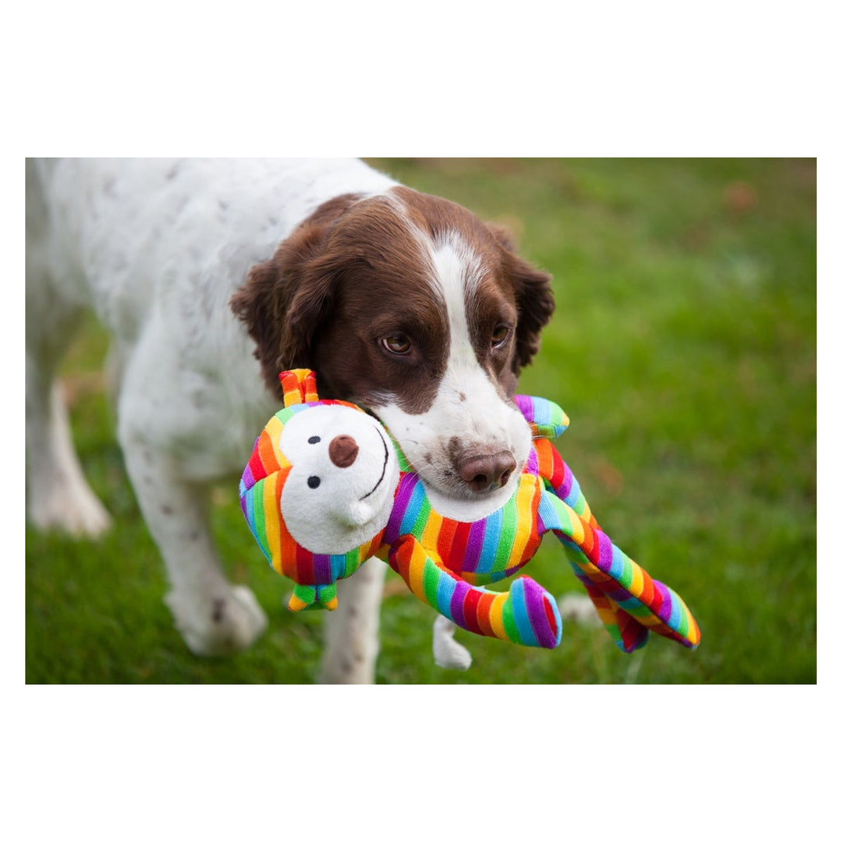 Rosewood Sonny Monkey plush squeaky dog toy, view 2