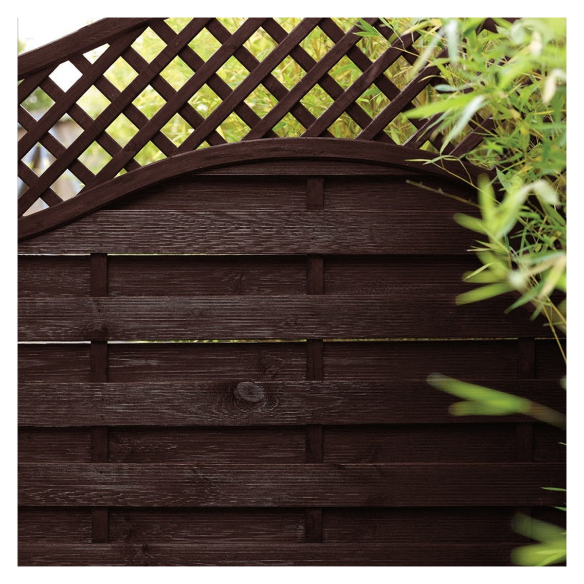 Sadolin Classic Wood Protection 1L tin in Rosewood, view 3