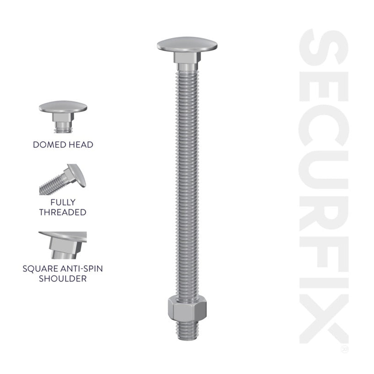 Securfix M6 x 100mm zinc plated carriage bolts with hex nuts