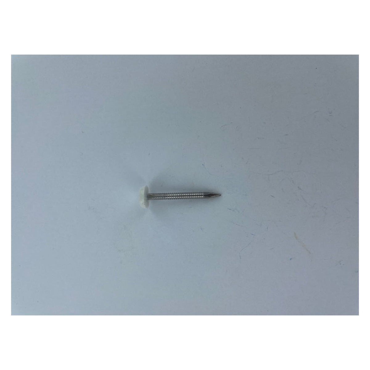 Securfix stainless steel white plastic headed nails 40mm, pack of 50