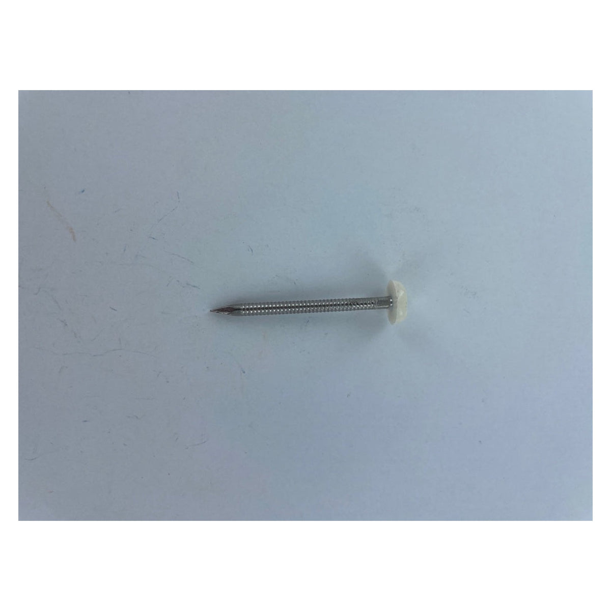 Pack of 50 Securfix white plastic headed stainless steel nails, view 2