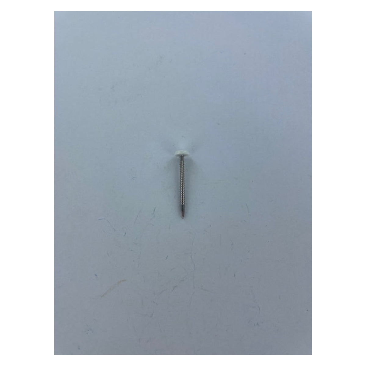 Pack of 50 Securfix stainless steel white headed pins 30mm, view 2