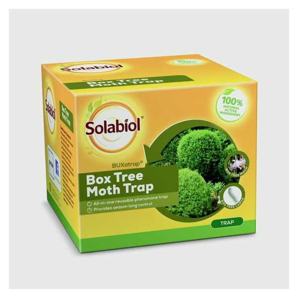 Solabiol box tree moth trap