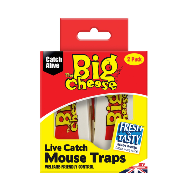The Big Cheese live catch ready to use mouse trap twin pack