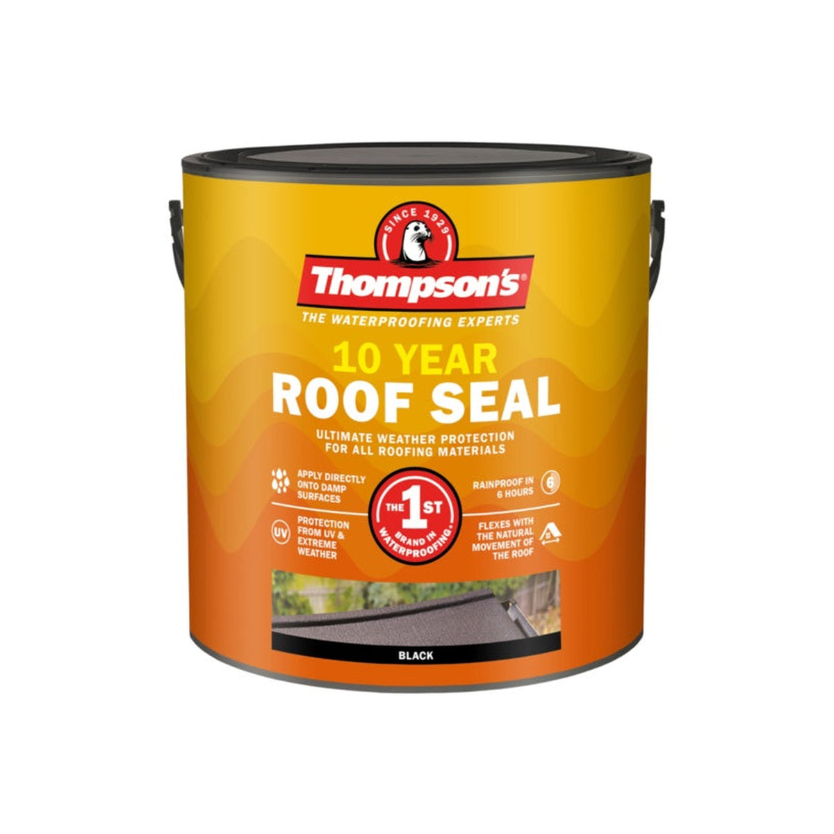 Thompson's 10 Year Roof Seal 2.5L black tin