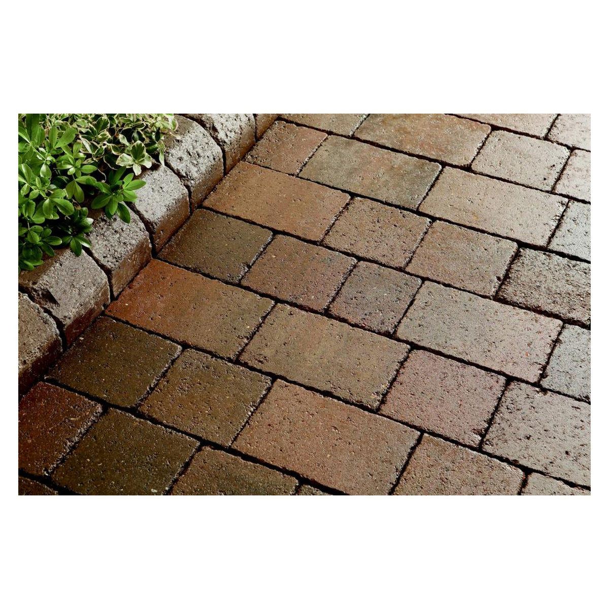Thompson's patio and block paving seal 5L wet look, view 2