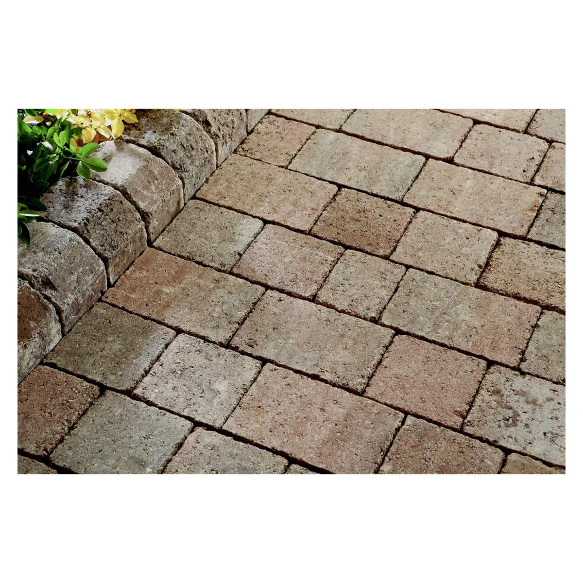 Thompson's patio and block paving seal natural 5L, view 2