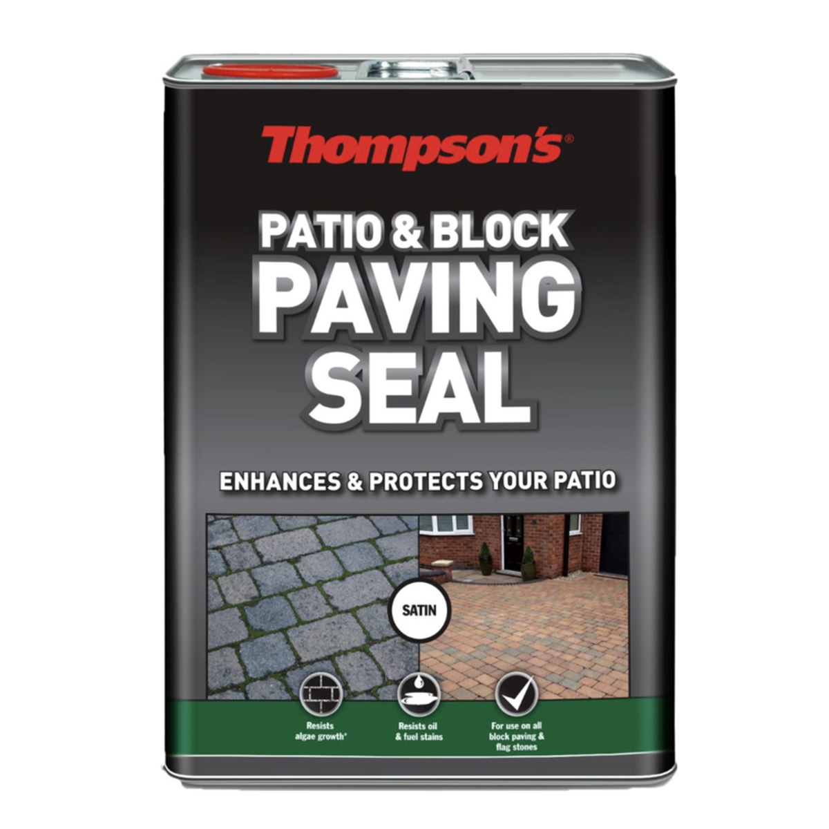 Thompson's Patio Block Seal 5L satin