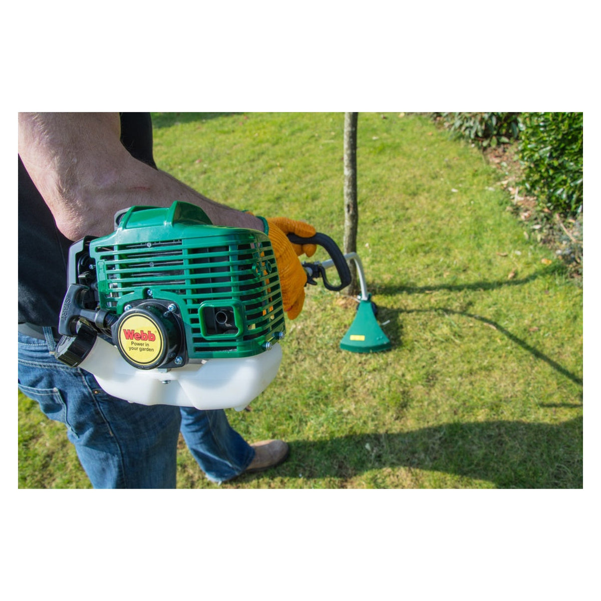 Webb 26cc petrol line trimmer with curved shaft, view 8