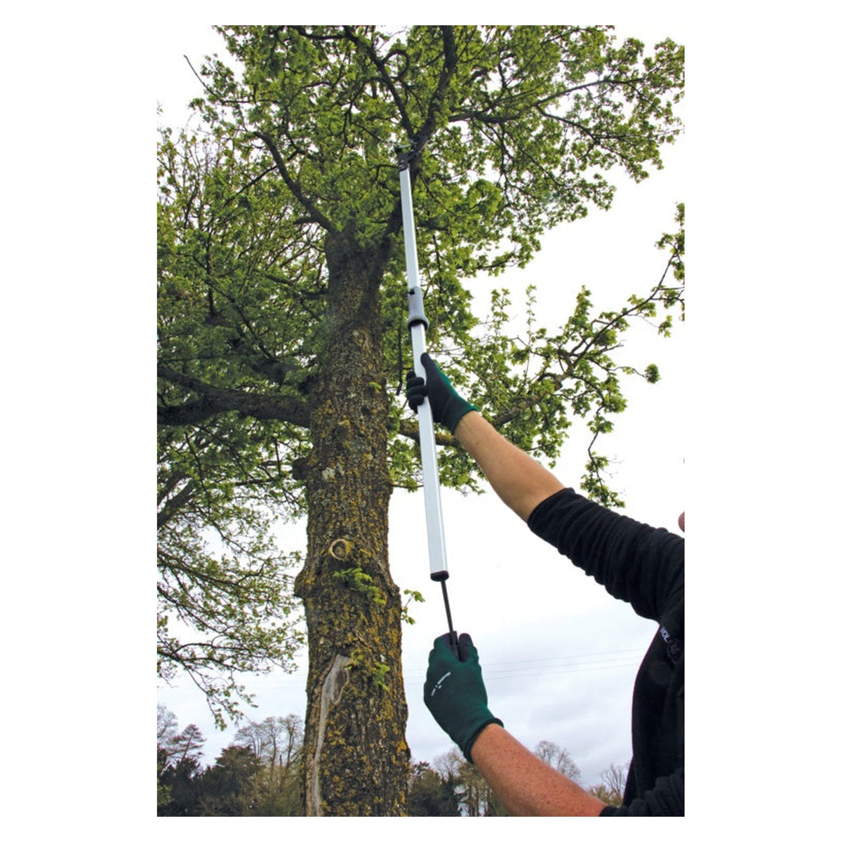 Wilkinson Sword ultra light 1.5m cut and hold branch cutter, view 3