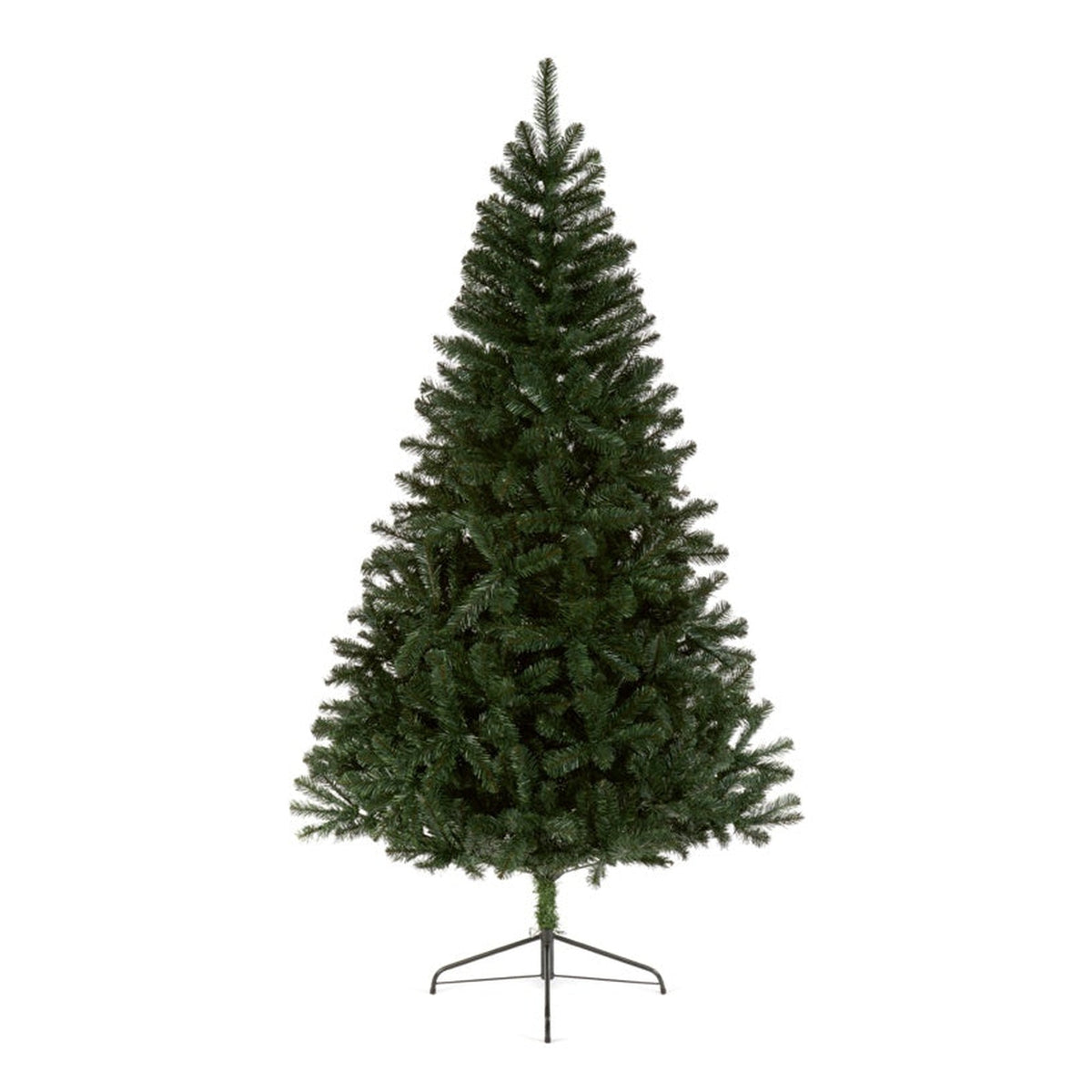 Woodcote Spruce - 1.5m, view 2