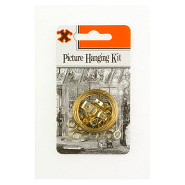 Picture hanging kit with hooks, pins, screw eyes and wire