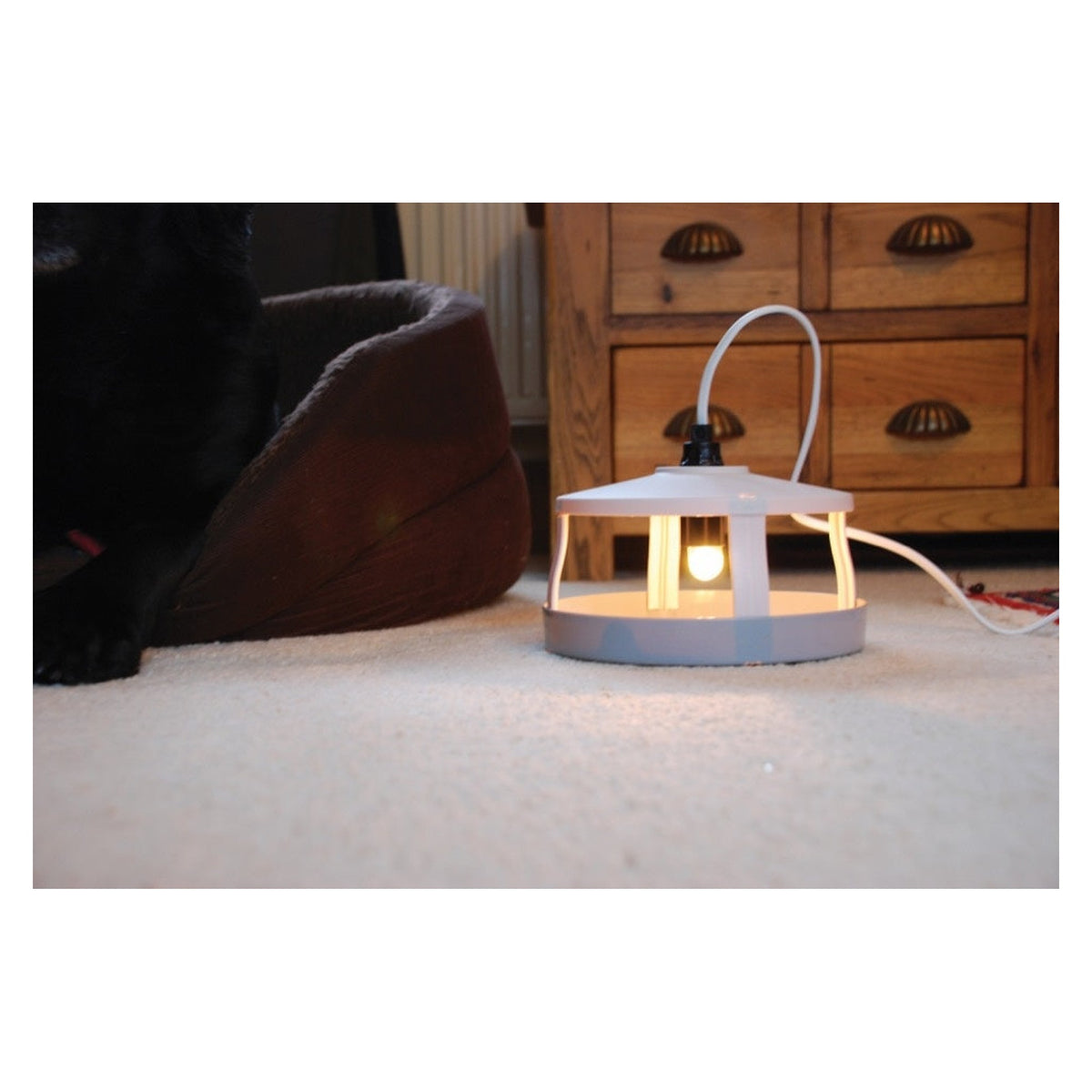 Zero In flea killer heat lamp trap, view 2
