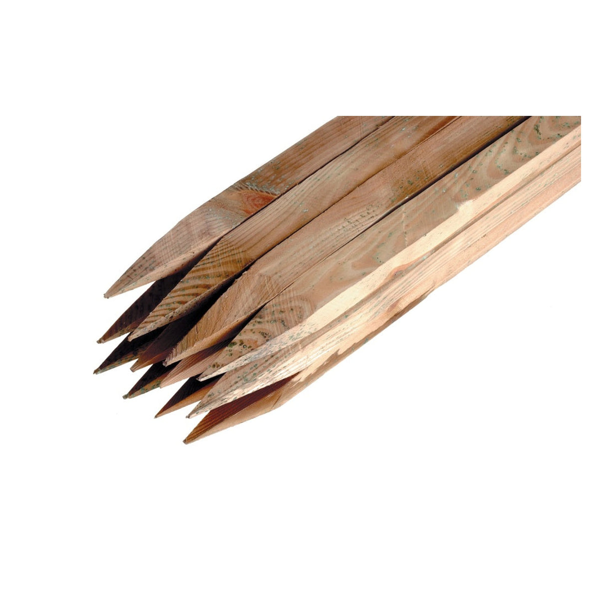 Ambassador birch hardwood tree stake 37mm x 2.4m