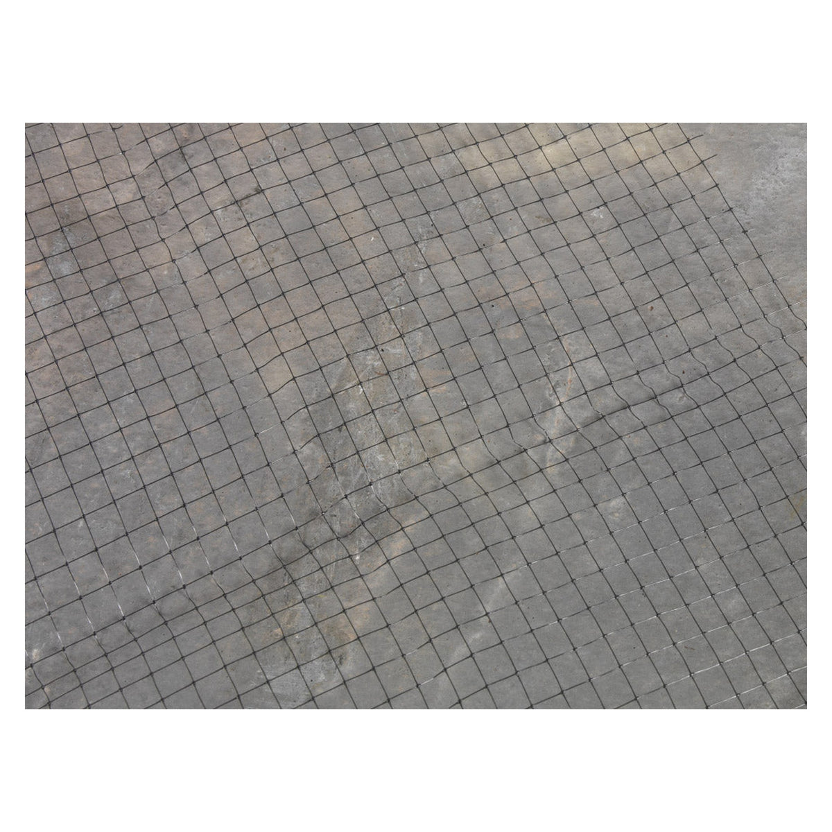Ambassador crop and pond protection netting 4m x 2m