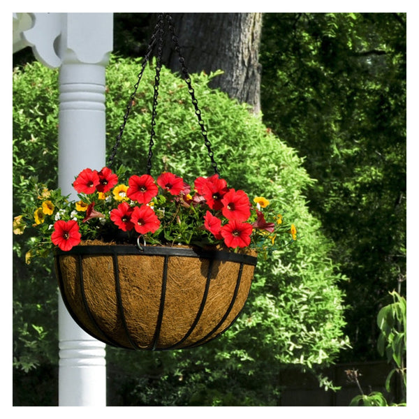 Ambassador 14 inch flat bar steel hanging basket