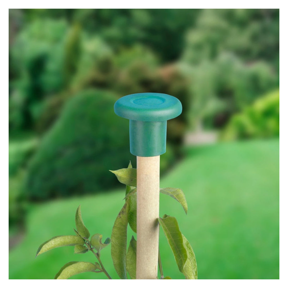 Ambassador garden eye guards, view 2