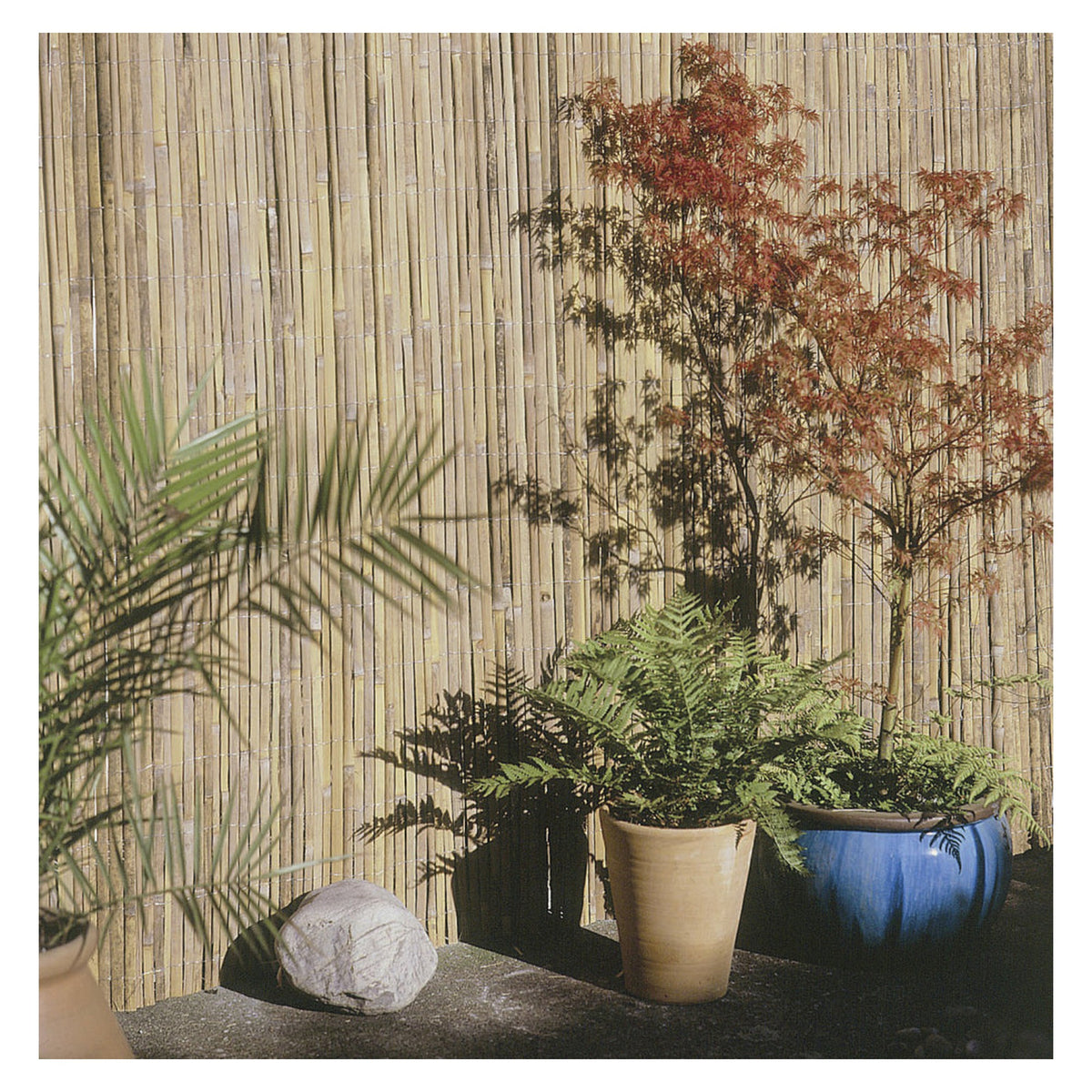 Ambassador half bamboo screening 4 x 2m roll
