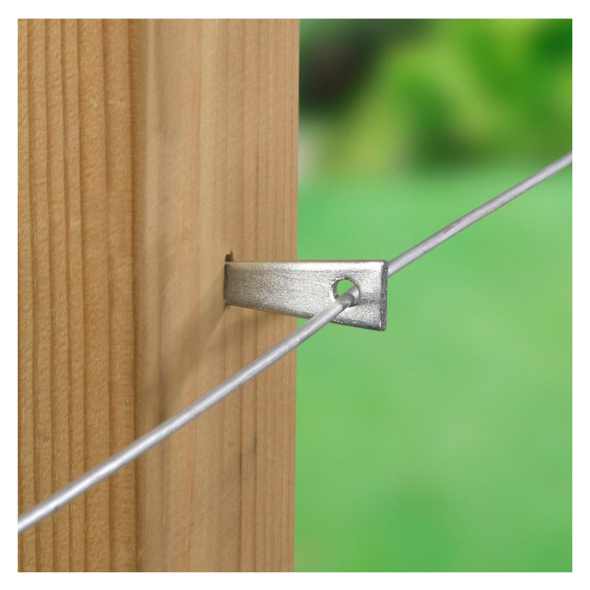 Ambassador hammer-in vine eyes for securing garden wire to walls, view 3