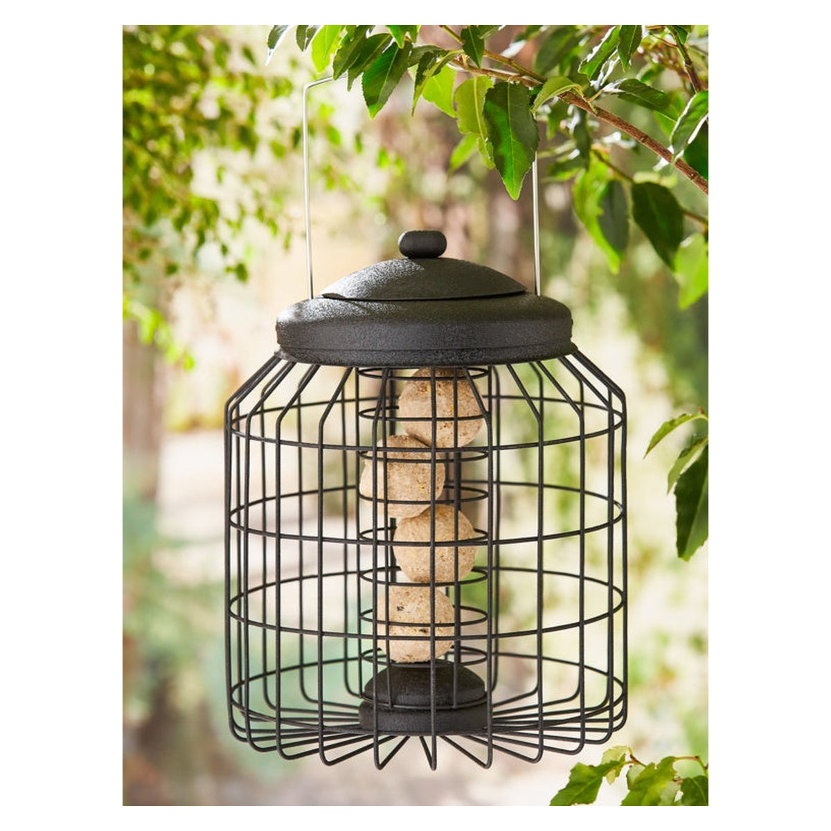 Ambassador black squirrel proof fat ball feeder, view 2