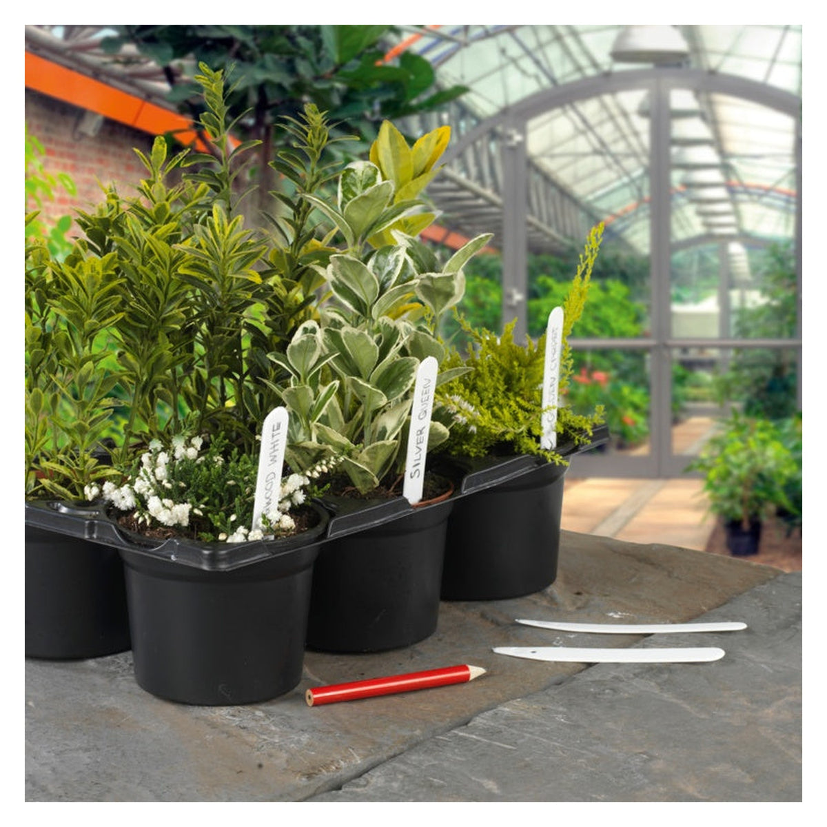 Ambassador 4 inch plant labels, pack of 50 with pencil, view 3
