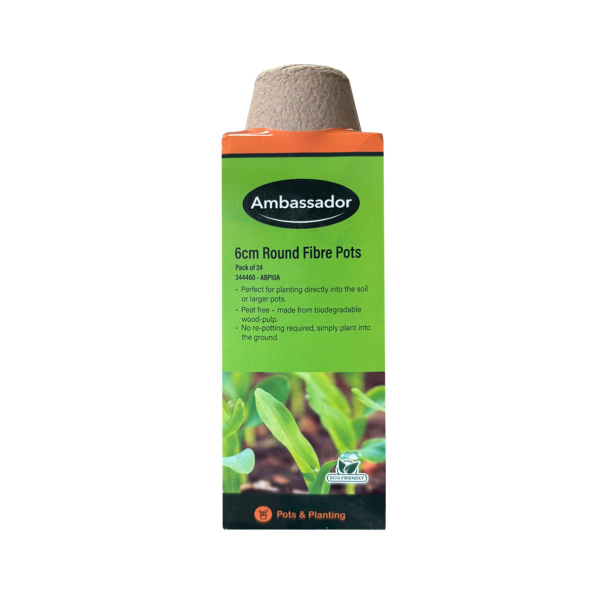 Ambassador 6cm round fibre pots, pack of 24