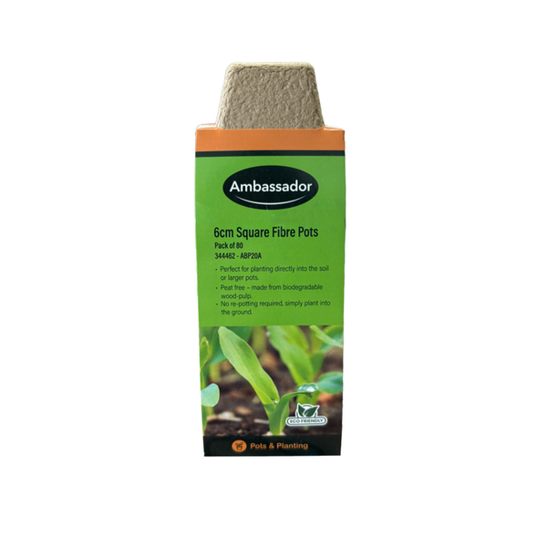 Ambassador 6cm square fibre pots pack of 80