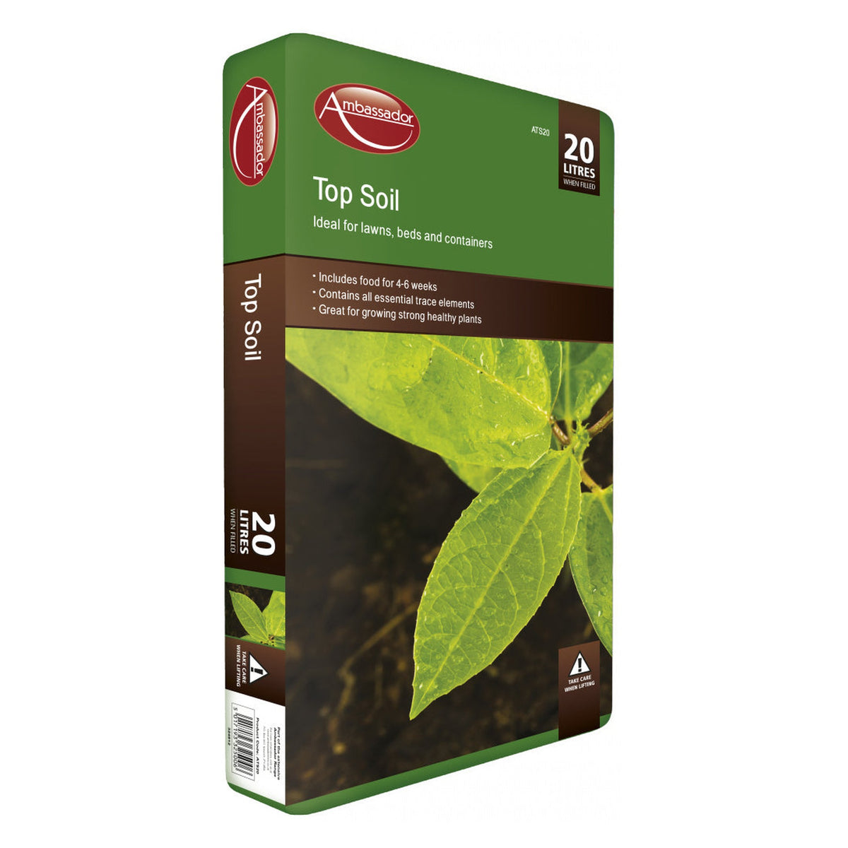 Ambassador top soil 20L bag