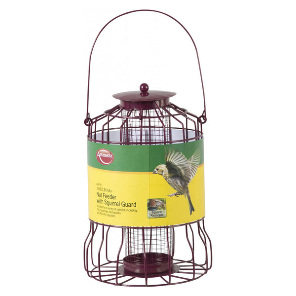 Ambassador wild bird nut feeder with squirrel guard