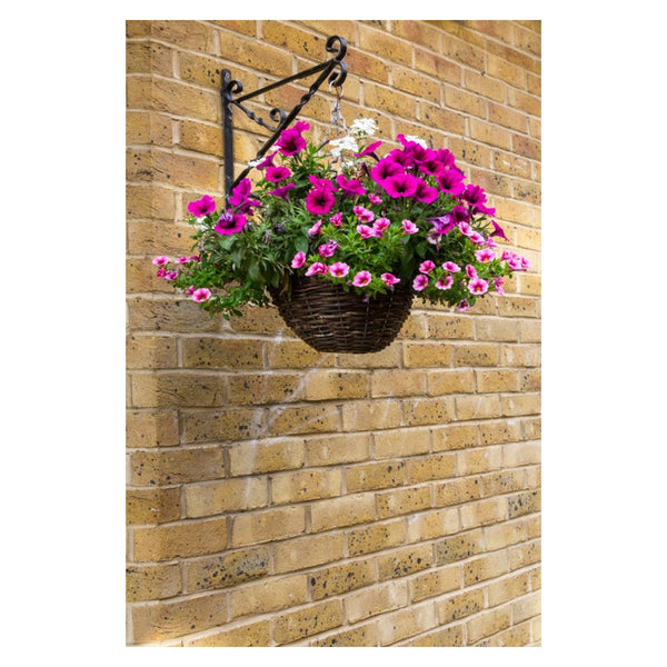 Ambassador 14 inch dark willow hanging basket